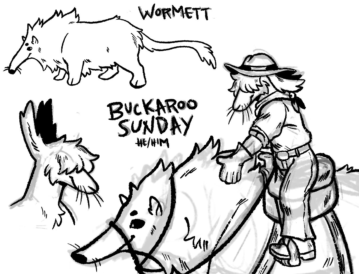 Original Buckaroo Sunday concept