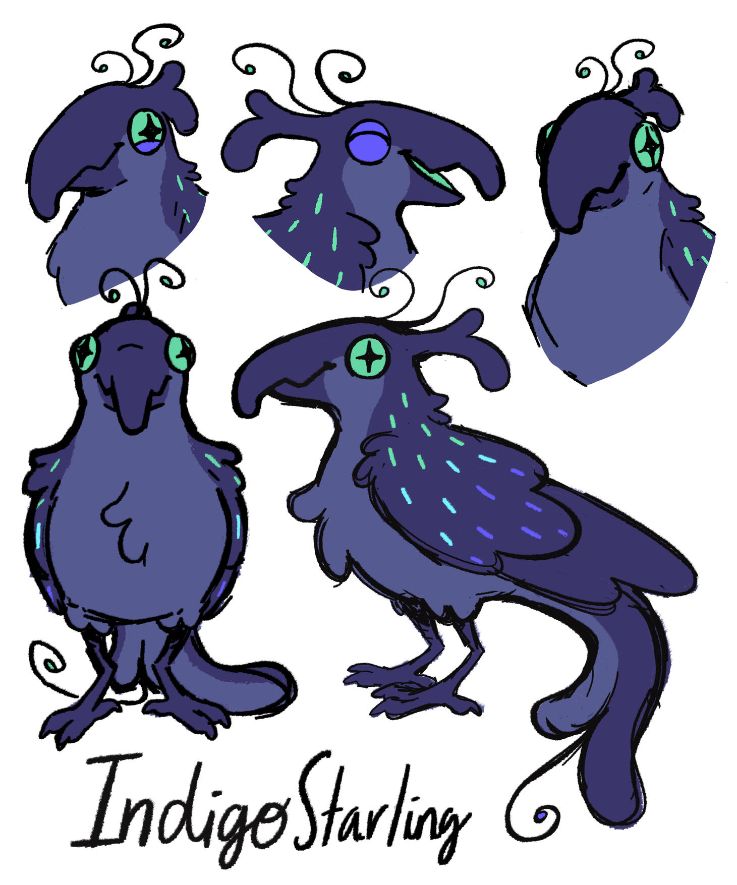 Final Indigo Starling design